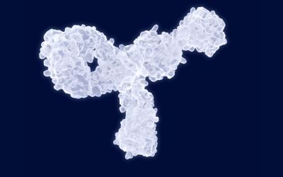 anticorpo, proteine