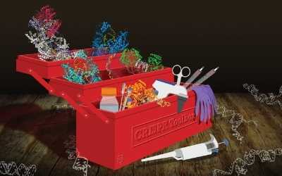 CRISPR toolbox
