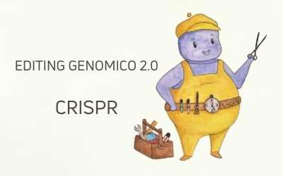 Reshape: CRISPR